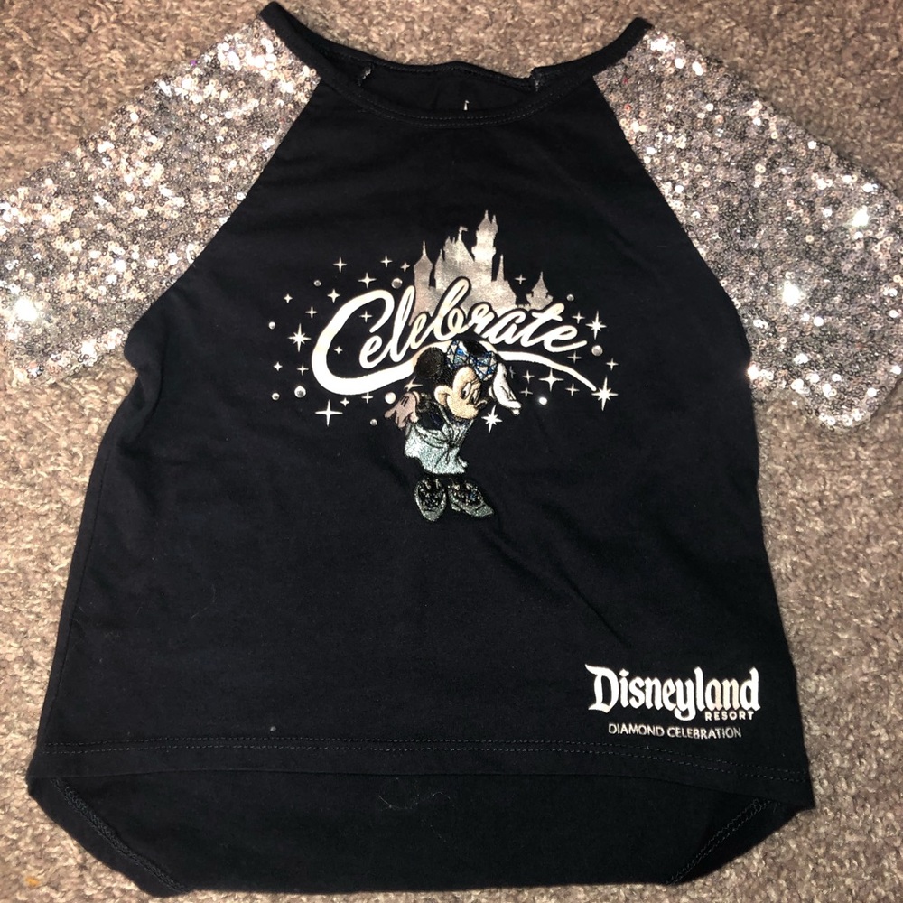 Disnwy parks shirt